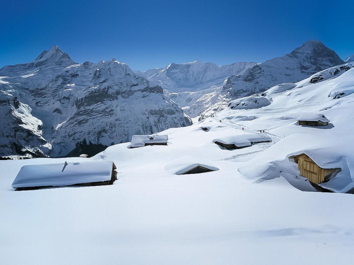 Apartment Chalet Jrene By Interhome Grindelwald Zewnętrze zdjęcie